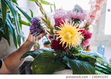 Hands of man adjust purple flower in large bouquet with dahlia and asters. Mental health hobbies, tactile healing, peaceful home environment, creative meditation, emotional wellness. Hands of man adjust purple flower in large bouquet with dahlia and asters. Mental health hobbies, tactile healing, peaceful home environment, creative meditation, emotional wellness. 136943281