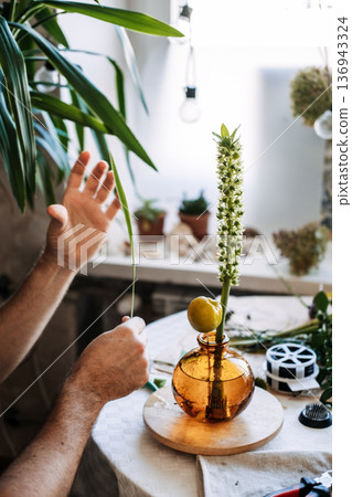 Hands arrange botanical elements in amber glass vase on wooden base. Men in floristry, modern masculine hobbies, artisan identity. Hands arrange botanical elements in amber glass vase on wooden base. Men in floristry, modern masculine hobbies, artisan identity. 136943324