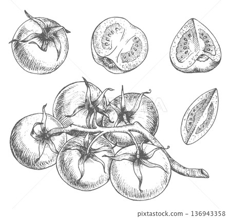 Set of the tomatoes cherry. Vector ink styled handmade illustration. For packaging design, cards, cover, prints, product labels and fabric. 136943358