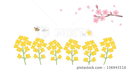 春季背景插圖橫幅春花邊框 春季背景插圖橫幅春花邊框 136943518