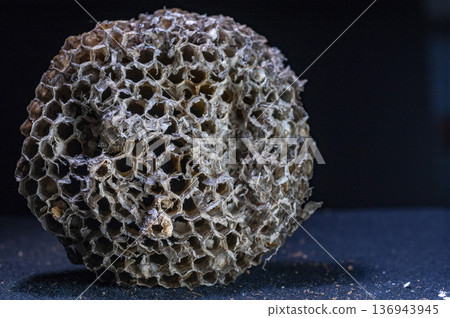 紙蜂巢呈精確的規則六邊形 136943945