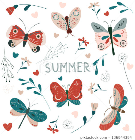 colorful butterfly 136944394