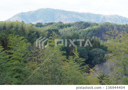 竹林、山脈和天空 136944404