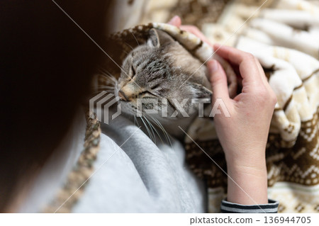 hold a cat 136944705
