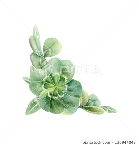 Corner frame of rare four leafs clovers,iconic symbol of luck and Saint Patricks Day.Watercolor vibrant shamrocks template for holiday cards,Irish designs,festive spring branding,celtic wedding 136944842