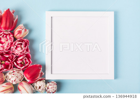 Spring pink and white tulips with white frame for text, ads, greetings, and your design. Background for congratulations on Women's Day, Mother's Day, Valentine's Day. Femininity, tenderness, beauty. 136944918