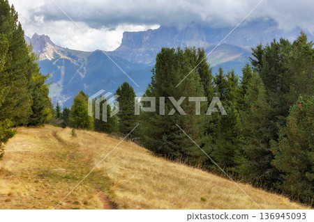 Dolomites Alpe di Siusi, Italy pathway 136945093