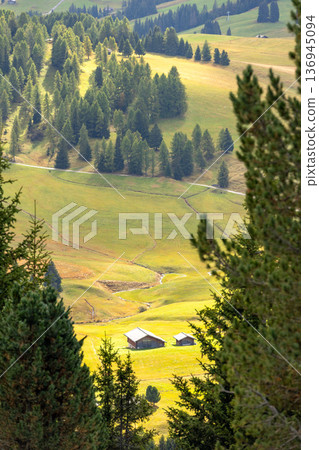 Seiser Alm alpine meadows, Dolomites, Italy Seiser Alm alpine meadows, Dolomites, Italy 136945094