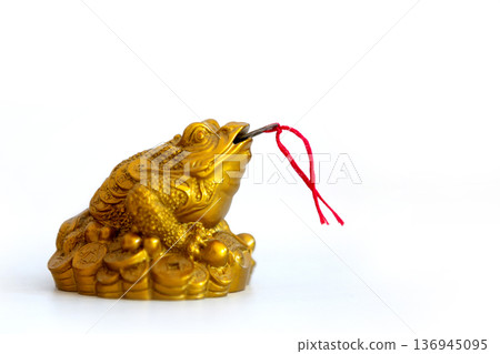Golden feng shui money frog figurine Golden feng shui money frog figurine 136945095