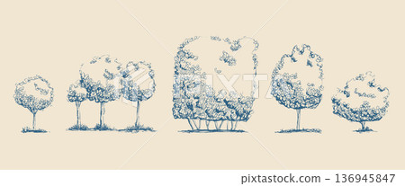 Sketch bushes and tree doodle sketches in blue ink line set. Forest and garden mediterranean plants, shrub with detailed outline work. Vector botanical illustrations perfect for italian nature design 136945847