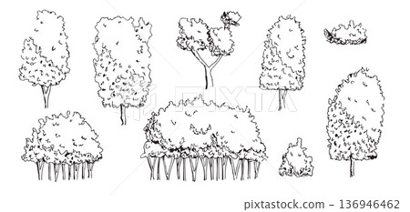 Sketch doodle bushes and tree doodle sketches in black ink line. Forest and garden plants, shrub with detailed outline work. Vector botanical illustrations perfect for nature design project Sketch doodle bushes and tree doodle sketches in black ink line. Forest and garden plants, shrub with detailed outline work. Vector botanical illustrations perfect for nature design project 136946462