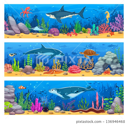 Underwater landscape game background banners with sea animals, seaweed and corals. Vector underwater world scene with ocean sea sand bottom landscape, cartoon fish school, shark, dolphin and crab 136946468