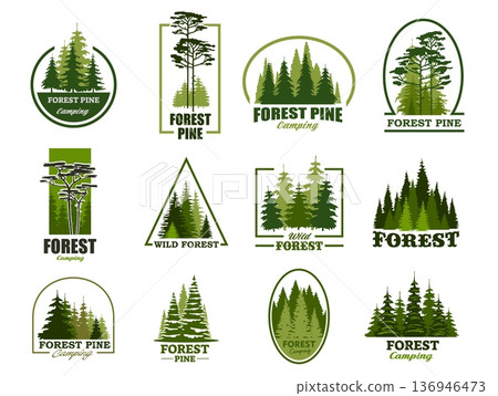 Pine tree silhouette icons, forest park and outdoor camp symbols. Vector evergreen woods of pine, fir, cedar or spruce, cypress or hemlock in minimalist line frames. Coniferous forest green icons set 136946473