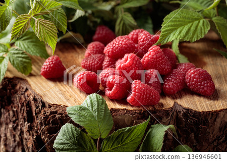 Fresh juicy raspberries with leaves. 136946601