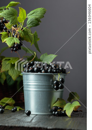Black currant in a small bucket. Black currant in a small bucket. 136946604