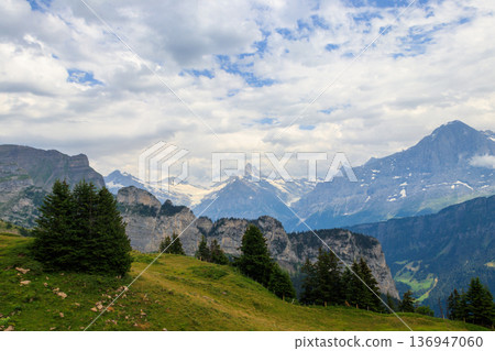 Panoramic view of snow-covered Swiss Alps and green flowering alpine meadow near Schynige Platte in Bernese Oberland, Switzerland Panoramic view of snow-covered Swiss Alps and green flowering alpine meadow near Schynige Platte in Bernese Oberland, Switzerland 136947060