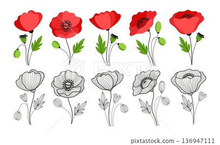 Poppy Bouquet Elements Collection in Line Art and Color, Hand-Drawn Floral Compositions for Logo, Invitations, Branding and Decorative Design, Branding, etc in a vector illustration Poppy Bouquet Elements Collection in Line Art and Color, Hand-Drawn Floral Compositions for Logo, Invitations, Branding and Decorative Design, Branding, etc in a vector illustration 136947111