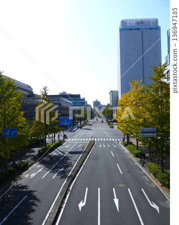秋葉絢麗的林蔭大道 秋葉絢麗的林蔭大道 136947185
