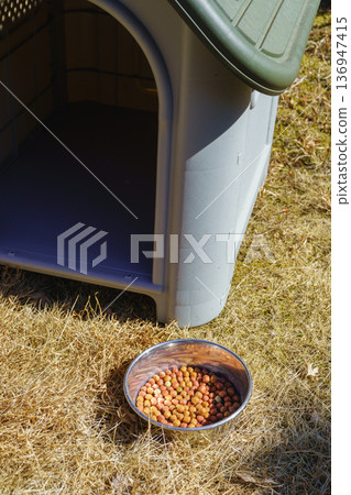 Dog house and dog food in the garden Dog house and dog food in the garden 136947415