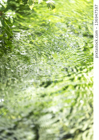 Fresh greenery in the forest, clear streams, and eco-friendly imagery - Jizo Falls Fountain Fresh greenery in the forest, clear streams, and eco-friendly imagery - Jizo Falls Fountain 136947597
