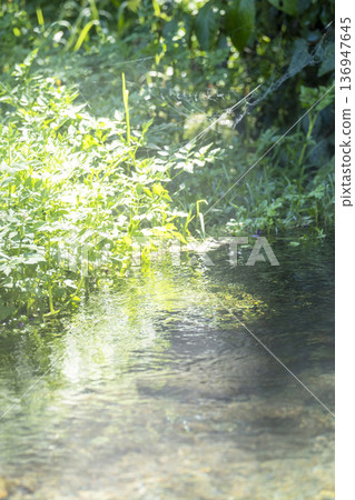 森林裡的新鮮綠植、清澈的溪流和環保意象——地藏瀑布噴泉 森林裡的新鮮綠植、清澈的溪流和環保意象——地藏瀑布噴泉 136947645