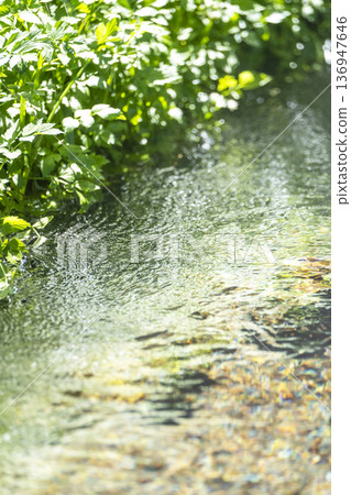 Fresh greenery in the forest, clear streams, and eco-friendly imagery - Jizo Falls Fountain 136947646