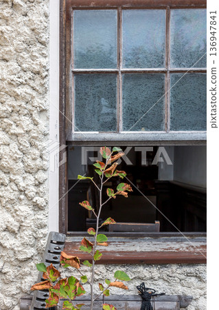 A window A window 136947841