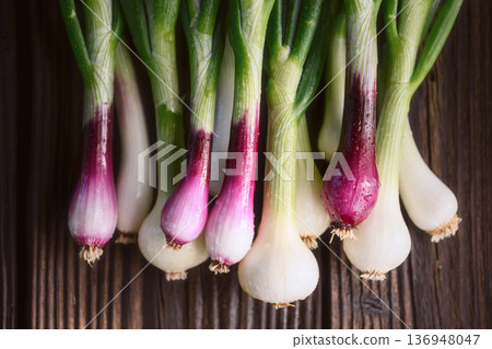Fresh green onions arranged in vertical layout Fresh green onions arranged in vertical layout 136948047