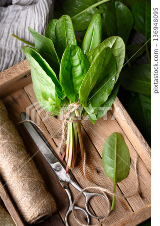 Raw sorrel leaves in rustic crate with kitchen scissors 136948095