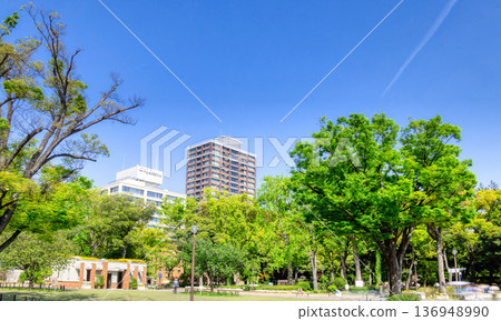 橫濱公園綠樹成蔭，藍天白雲 136948990