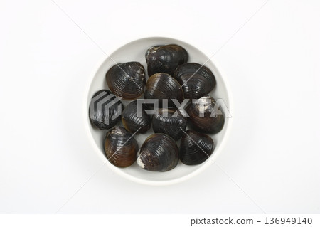 A simple and beautifully glossy white background of clams A simple and beautifully glossy white background of clams 136949140