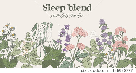 Seamless botanical border featuring hand drawn sleep tea herbs 136950777