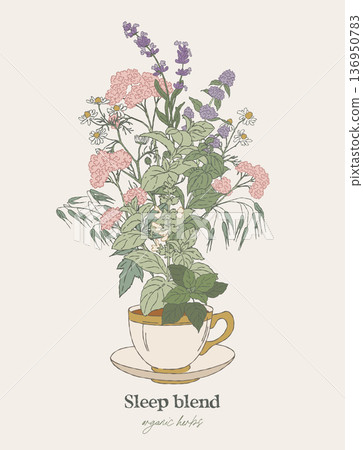 Digestive Herbal Blend Tea Cup Illustration Digestive Herbal Blend Tea Cup Illustration 136950783