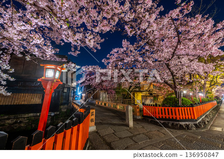Sakura in Tatsumihashi, Gion Shirakawa, Kyoto Sakura in Tatsumihashi, Gion Shirakawa, Kyoto 136950847