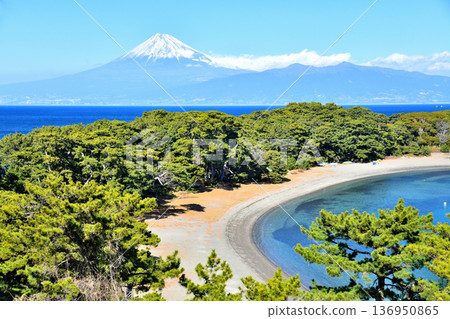View of Mount Fuji from Toda Port/Mihama Beach (Numazu City, Shizuoka Prefecture) [February 2026] 136950865
