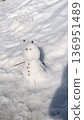 A small snowman 136951489