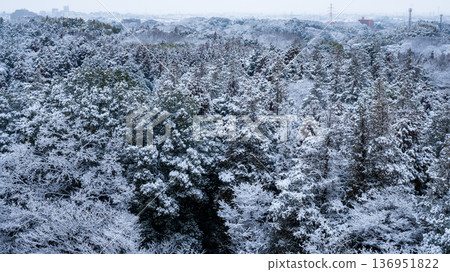 Snow makeup forest 136951822