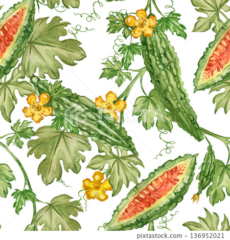 A seamless watercolor pattern with bitter melon, vines, leaves, and flowers. Momordica is a healthy and detoxifying herb. Hand-drawn illustration for packaging and food products. 136952021