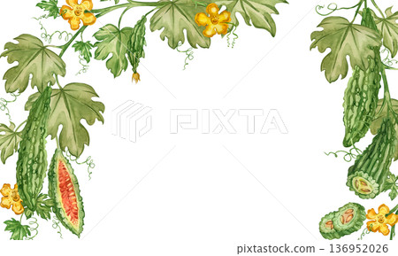 A watercolor frame of bitter melon, Indian cucumber, leaves, and flowers, symbolizing healthy detoxification and nutrient replenishment. Suitable for printing on fabric and paper. A watercolor frame of bitter melon, Indian cucumber, leaves, and flowers, symbolizing healthy detoxification and nutrient replenishment. Suitable for printing on fabric and paper. 136952026