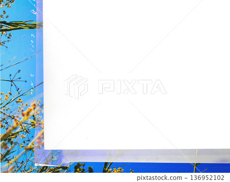 Vintage film slide frame with a white blank center for copy space over a bright blue sky and yellow wildflowers background. Retro 1970s aesthetic with a date stamp 2 Nov 71 and film grain. Overlay. 136952102