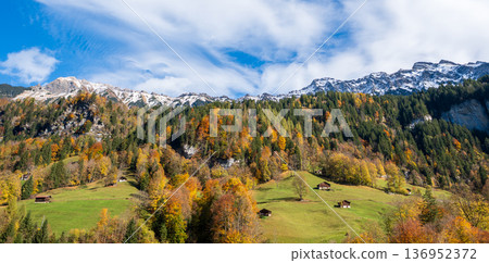 秋日裡，勞特布魯嫩山谷的森林山坡上點綴著一排小木屋。勞特布魯嫩，伯爾尼州，瑞士 136952372