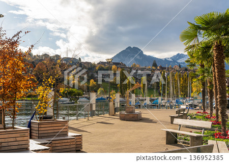 瑞士伯爾尼州施皮茨的施皮茨碼頭棕櫚樹成蔭的長廊 136952385