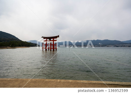在嚴島神社的鳥取 136952599
