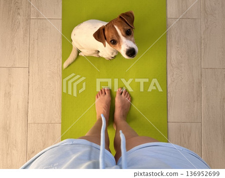 A girl stands on a lemon-colored yoga mat with her pet, a Jack Russell Terrier A girl stands on a lemon-colored yoga mat with her pet, a Jack Russell Terrier 136952699