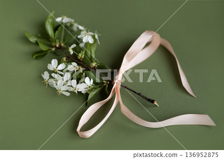 Blooming cherry blossom branch decorated with peach satin ribbon bow on pale green background, romantic spring composition 136952875