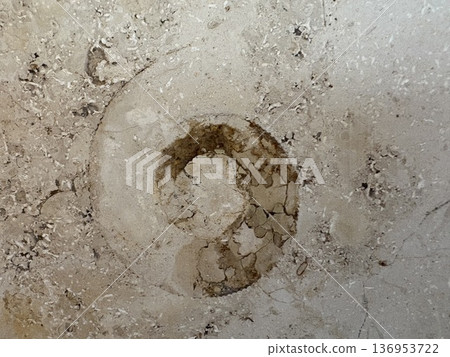 Fossil excavation in the city - Ammonites in marble Fossil excavation in the city - Ammonites in marble 136953722