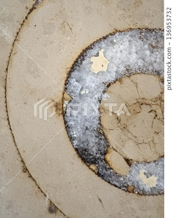 城市化石發掘－大理石中的菊石 136953732