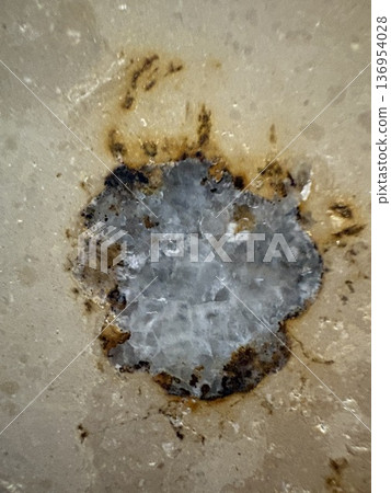 Fossil excavation in the city - fossils crystallized like jewels in marble 136954028