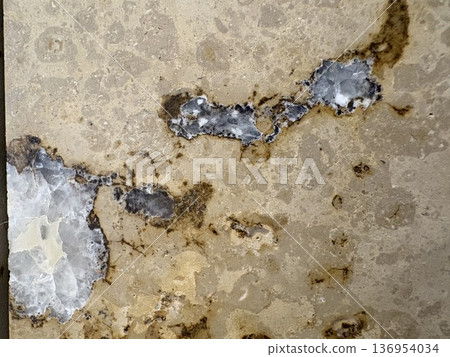 Fossil excavation in the city - fossils crystallized like jewels in marble Fossil excavation in the city - fossils crystallized like jewels in marble 136954034