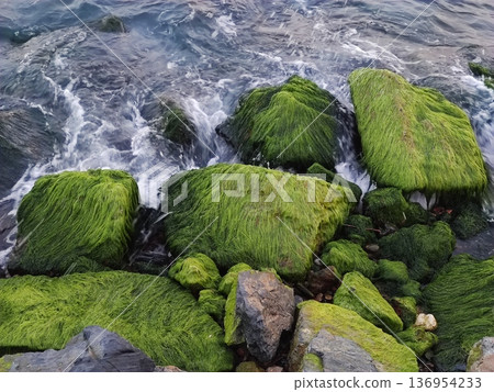 Green Moss Covered Rocks with Ocean Waves Coastal Nature Background Green Moss Covered Rocks with Ocean Waves Coastal Nature Background 136954233